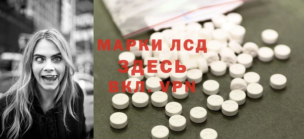 прущие грибы Абинск