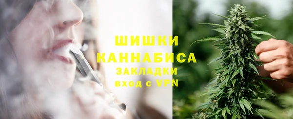 индика Алзамай