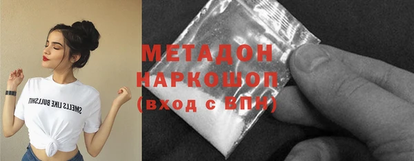 индика Алзамай