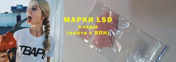 индика Алексеевка