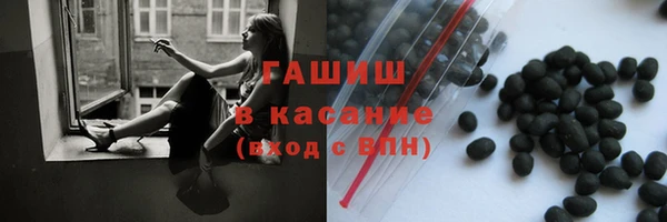 индика Алзамай