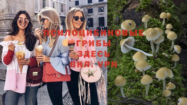 индика Алексеевка