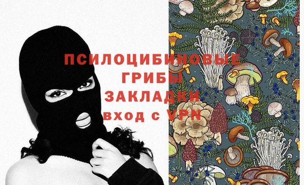 индика Алзамай
