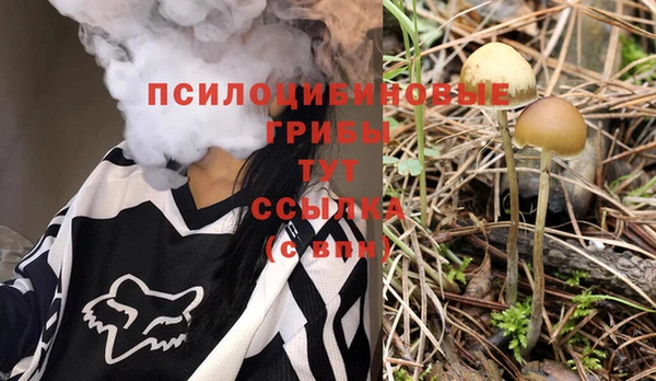 индика Алзамай