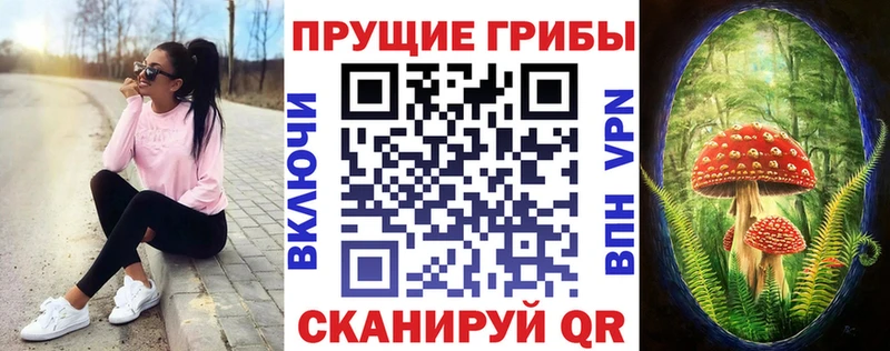 Галлюциногенные грибы Psilocybine cubensis  Старая Купавна 